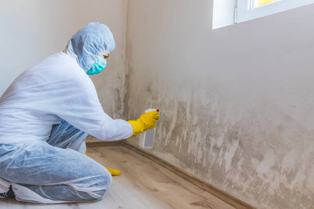 Licensed Bathroom Mold Removal service in Pineville, NC - WQB Mold Removal
