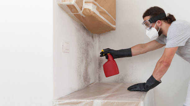 Professional Bathroom Mold Removal technician working in Pineville, NC