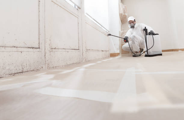 24/7 Emergency Bathroom Mold Removal experts in Pineville, NC