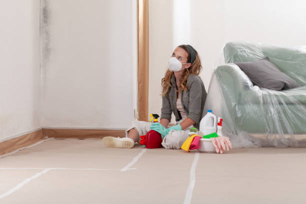 Reliable Bathroom Mold Removal contractor in Pineville, NC by WQB Mold Removal
